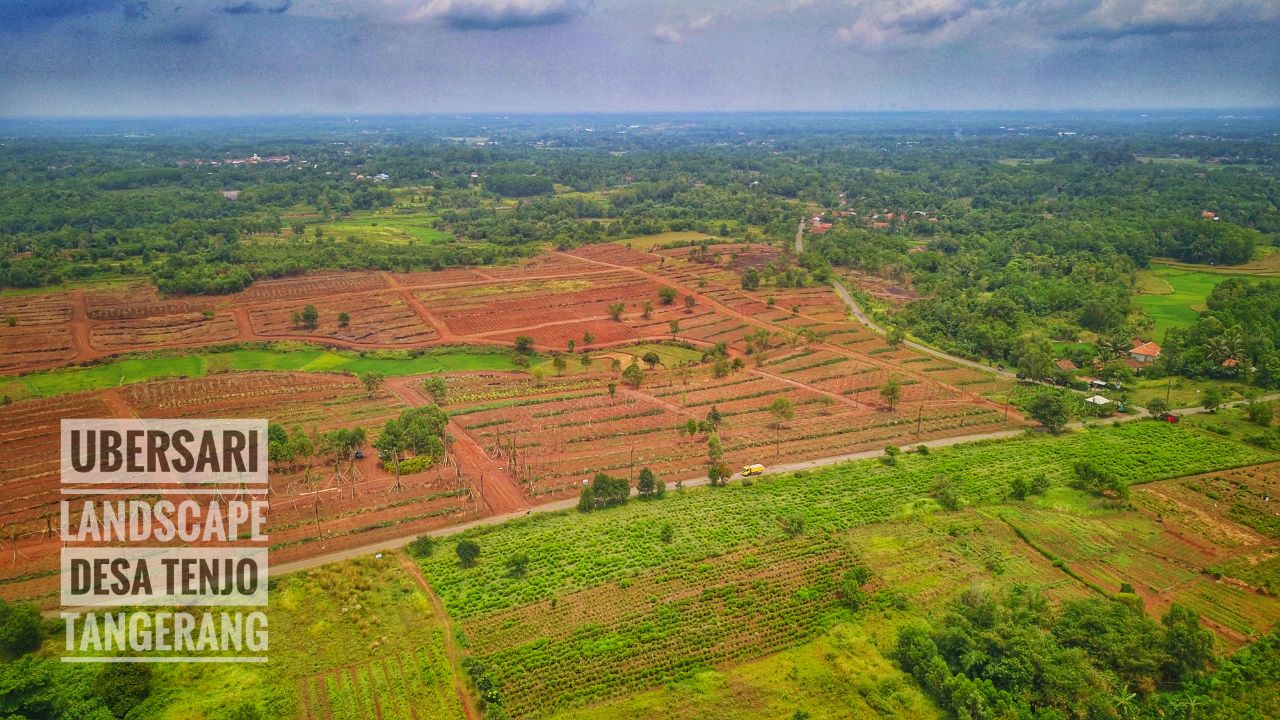 uber-sari-kertalangu-landscape-contractor-bali-nursery-tenjo-detail (3).jpeg